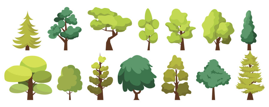 Flat Design Various Green Tree Collection Illustration Isolated on White 