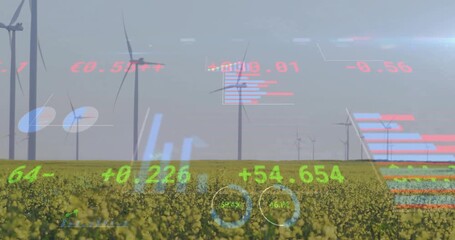 Wind turbines in field with financial data processing animation over landscape - Powered by Adobe