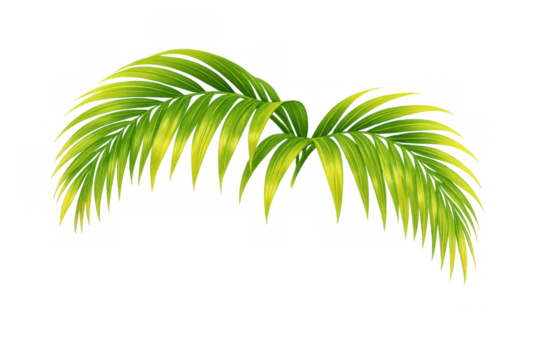 Palm leaves vector illustration creating a tropical summer background or border, green exotic fronds transparent element - Powered by Adobe