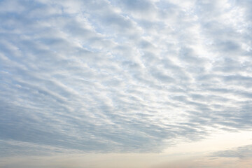 Altocumulus clouds showing textured wave patterns stretch across the pale blue sky at sunrise