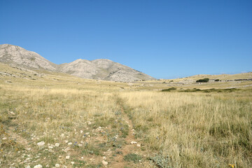 A narrow dirt path leading through a dry grassy field on the hiking route from Vela Luka to Mala Luka on Krk island
