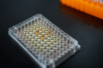 マイクロウェルプレート