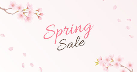 Spring Sale Cherry Blossom Background with Sakura Flowers and Petals