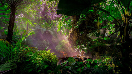 The Tropical jungle with river and sun beam and foggy in the garden