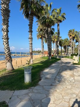 zadbana aleja wzdłuż plaży z pięknymi palmami
