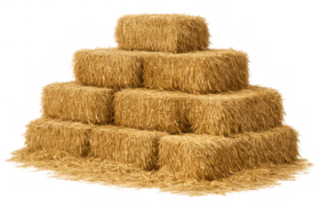Stacked hay bales and straw for agriculture and farming, providing animal feed and harvest industry materials