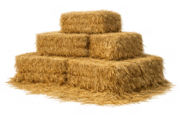 Stack of golden hay bales in a rural farm setting, symbolizing agriculture, harvest, and traditional farming