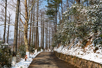 The shady paths after the snowfall in the Mogan Mountain Scenic Area of Deqing County, Huzhou City, Zhejiang Province, China.