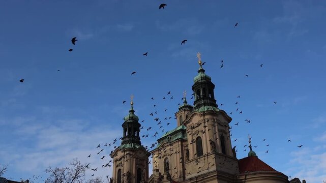 Birds glide in slow motion across blue sky above historic church towers creating peaceful cinematic rhythm and timeless urban freedom over old european skyline