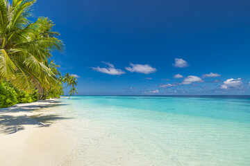 Pristine tropical beach landscape featuring turquoise ocean white sand palm trees summer travel vacation destination exotic island paradise serene seaside scenery tropical summer holiday background