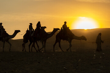 silhouette of camel caravan with unrecognizable people travels across desert at sunset with against a bright sky