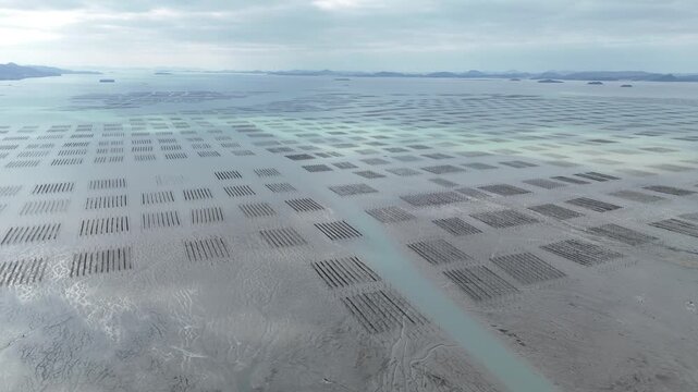 Aerial view of traditional Pole-system Laver Aquaculture Farm on the vast mudflats of Shinan, South Korea (대한민국 신안의 광활한 갯벌 위 전통 지주식 김 양식장 항공 뷰)