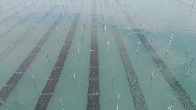 Aerial view of traditional Pole-system Laver Aquaculture Farm on the vast mudflats of Shinan, South Korea (대한민국 신안의 광활한 갯벌 위 전통 지주식 김 양식장 항공 뷰)