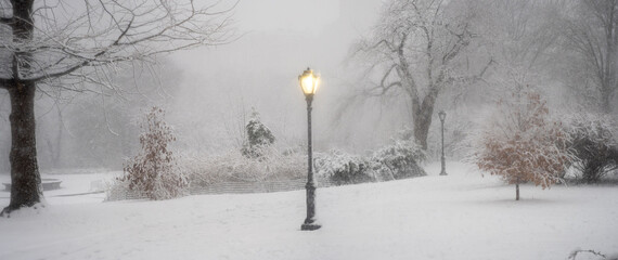 Central Park in winter , snow storm