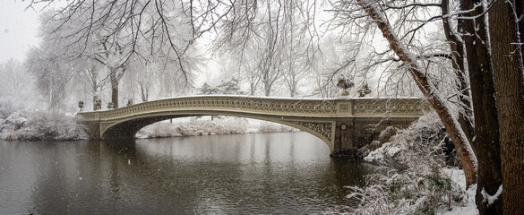 Bow bridge during snow storm
