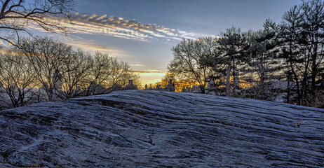 Central Park in winter , early morning