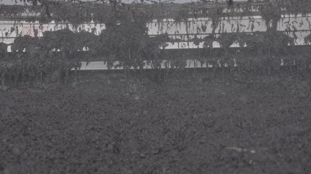 Farmers harvesting seaweed at a traditional Pole-system farm in Shinan mudflats  (신안 갯벌 전통 지주식 양식장에서 김을 수확하는 어민들)