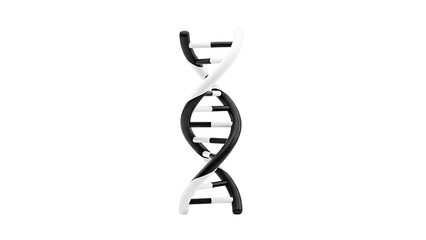 Black and White DNA Double Helix