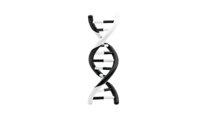 Black and White DNA Double Helix