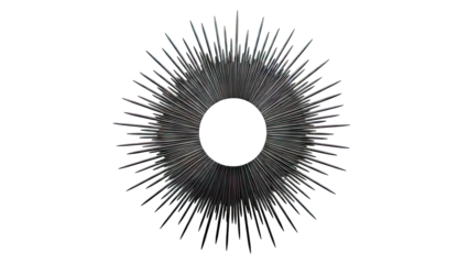 Black Sunburst Mirror