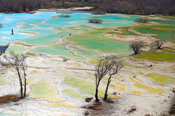 Beautiful scenic Huanglong Valley , a turquoise, calcite-rich pools along the limestone terraces 
