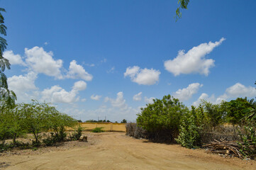 road in the countryside garden in city nature clouds landscape