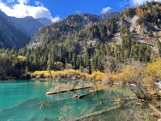 The breathtaking scenery of the crystal-clear, turquoise lake at Arrow Bamboo Lake, Jiuzhaigou National Park in Sichuan Province, China