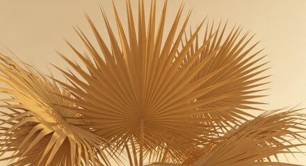 Obraz premium Golden Fan Palm Leaves Creating a Luxurious Minimalist Tropical Background Texture. Perfect for Summer Resort and Aesthetic Product Branding.