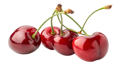 Fresh cherries on black background