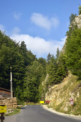 Road passing through picturesque mountain gorge in Romania. On left are stacked logs, indicating logging activity or wood warehouse. Copy space.