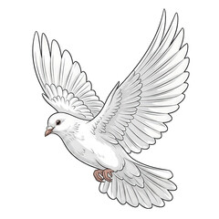 Obraz premium Majestic white dove in flight with outstretched wings