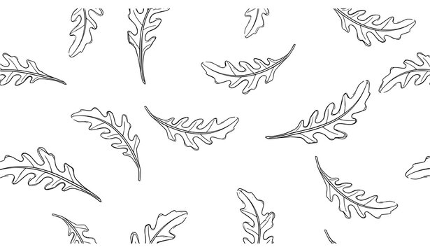 Cute doodle arugula leaves seamless pattern vector