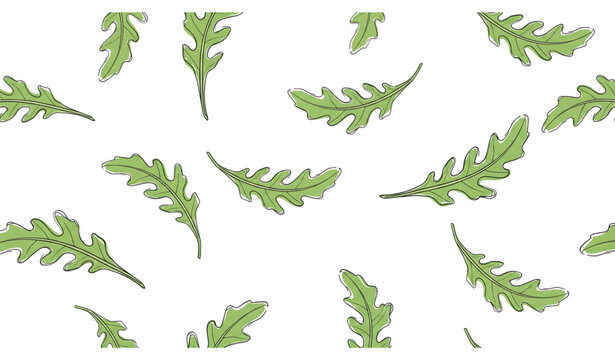 Cute doodle arugula leaves seamless pattern vector
