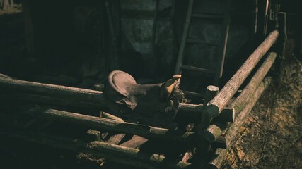 A well worn saddle is placed atop a rustic wooden fence near a barn. The surroundings exhibit an old world charm, illuminated by soft afternoon light.