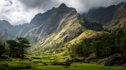 Fototapeta premium Expansive green terraced rice fields cascading down lush mountains under a cloudy sky