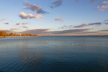 Seagulls flying over the water at sunset near the shoreline