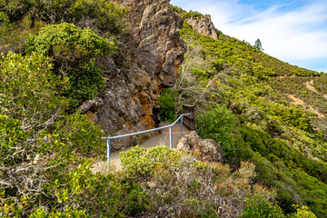 Verna Dunshee Trail on Mount Tamalpais