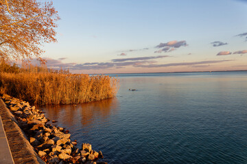Sunset view by the water with plants and rocks along the shore