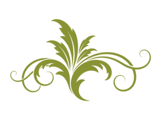 Elegant green nature swirl decorative element design vintage floral ornament abstract leafy flourish pattern baroque style