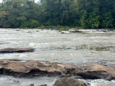The scenic flow of the Chalakudy River near the majestic Athirappilly Falls &mdash; where lush Western Ghats forests meet powerful cascading waters.
