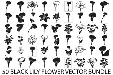 Obraz premium Black Lily Flower Vector Bundle