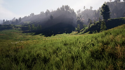 A serene meadow filled with tall grass and wildflowers glimmers in the gentle sunlight. Forested...