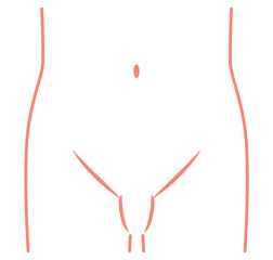 腹部　下腹部　鼠径部