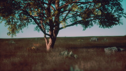 A picturesque scene showcases a solitary tree standing proudly in a vast grassy field. The warm...