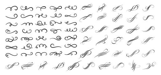 A collection of vintage floral ornaments and swirls