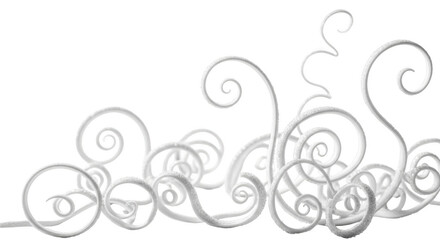 Fototapeta premium White swirling organic tendrils with textured surface against background isolated on a transparent background
