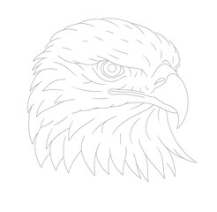 sketch of eagle