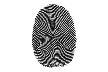 Fingerprint providing biometric authentication for digital security and personal identification with a transparent background