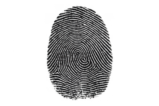 Fingerprint providing biometric authentication for digital security and personal identification with a transparent background - Powered by Adobe