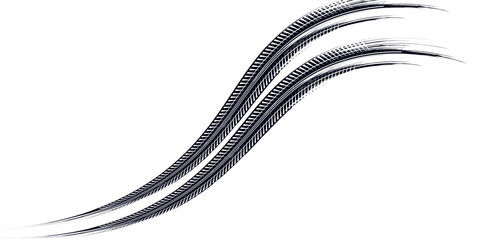 Tire track. Car, bike, motorcycle tyre mark with grunge effect isolated on white background. Wheel footprint on the road. Top view of rubber protector mark.